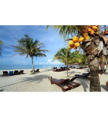 Тур в Малайзию из Узбекистана. Куала-Лумпур и Лангкави — экзотический отдых с комфортом 